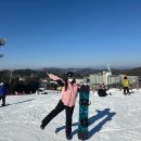 가야당구장 | [횡성] 웰리힐리파크 스키장 렌탈샵 눈썰매장 조식 패밀리룸 숙박 등 내돈내산 후기