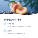 경산시립합창단 기획연주회 중산지음악회 | 2025 경산카페축제: 신비복숭아와 커피 향의 만남! 놓칠 수 없는 15일간의 감성 축제!