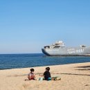 장사해수욕장(솔밭) | 영덕 장사해수욕장 캠핑 차박 영덕 오토 캠핑장 가볼만한곳 (장사상륙작전전승기념공원)