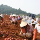 무안상회 이미지