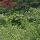 마곡리 경로당 이미지