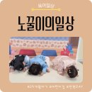 아이미소어린이집 | 2026 설날 어린이집 행사｜25개월 아기 한복데이 세배 후기