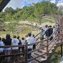국립공원공단소백산생태탐방원