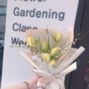 민트약국 이미지