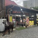 정현육가공식당 | 대전 정육식당, 대전 식육식당 맛집 추천 판암동 맛집 정현육가공직판장 후기
