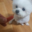 구름이네 까까 이미지