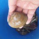 몽산포 휴림 이미지