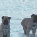 진안 hami숲 이미지