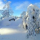 수채화1 이미지