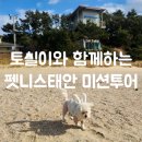 토실이네 애견 | 펫니스태안 애견동반 여행지 추천 토실이와 함께 1박 2일 여행 후기