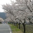 김제 둘러 볼만한 곳 이미지