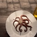 낙지이야기 이미지