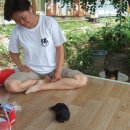 오월이네 이미지