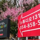 스튜디오131호텔 이미지