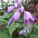 곡성-246 이미지