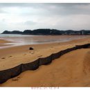 사구해수욕장2 이미지