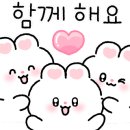 케이트영어교실