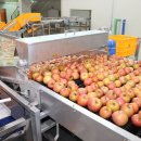 보은군 과수거점산지유통센터 이미지