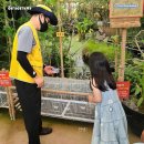 창녕우포곤충나라 이미지