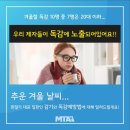 그린태권도 이미지