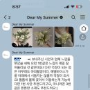 썸머(summer) | W💍 촬영 부케 _ Dear My Summer 디어마이썸머 부케 후기(개강추)