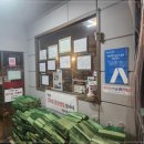 참나무본가