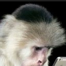 카페 블롱쉬 이미지