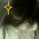 삼식농장 이미지