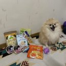 CU 신호점 | [명지애견용품할인매장] 장보는강아지와고양이부산신호점