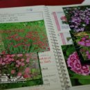 춤추는 마을기업 이미지