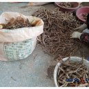 횡성더덕건강원 이미지