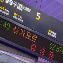 현대유통쇼핑센터 | 2025 싱가포르 여행 💘 (1) feat.생일주간