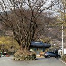 계척시목지 이미지