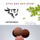 일출로민박 이미지