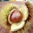 정다운마을 이미지