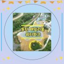 패밀리PC존 | 동탄 패밀리풀 예약 방법 및 야외수영장 개장 오픈 일정 정보