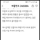 쵸이스다방 이미지