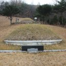 매계조위 묘소 Daum카페