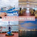 고래스크린 | 울산 장생포 유람선 고래바다 여행선 출항 기본정보 주차장