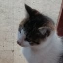 장자골낚시터 이미지