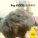 코코댄디
