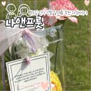 나의과일 | W. 부모님 첫인사드리기 | 부모님 첫인사 선물 추천 '나앤프룻' 과일 칠링백 후기