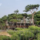 난쟁이카페