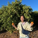 중천농장 이미지