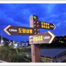 단양마중 이미지