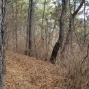 이문2제방 이미지