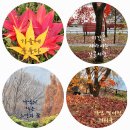 태경님 노래 ‘사랑 그 쓸쓸함에 대하여~’ 🍒 이미지