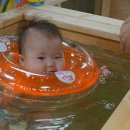 상모안경 이미지