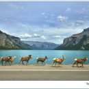 바닷가돌빌레 이미지