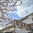 양양맛집 줄 서서 먹는 감나무식당 내돈내산 솔직후기